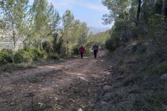 Subiendo la pista de Ca n'Estruc Vell hacia el corriol / sendero al pie del Coll de Can Rubió (Italiano)
