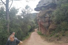 Detalle natural camino al Castell de Sant Jaume